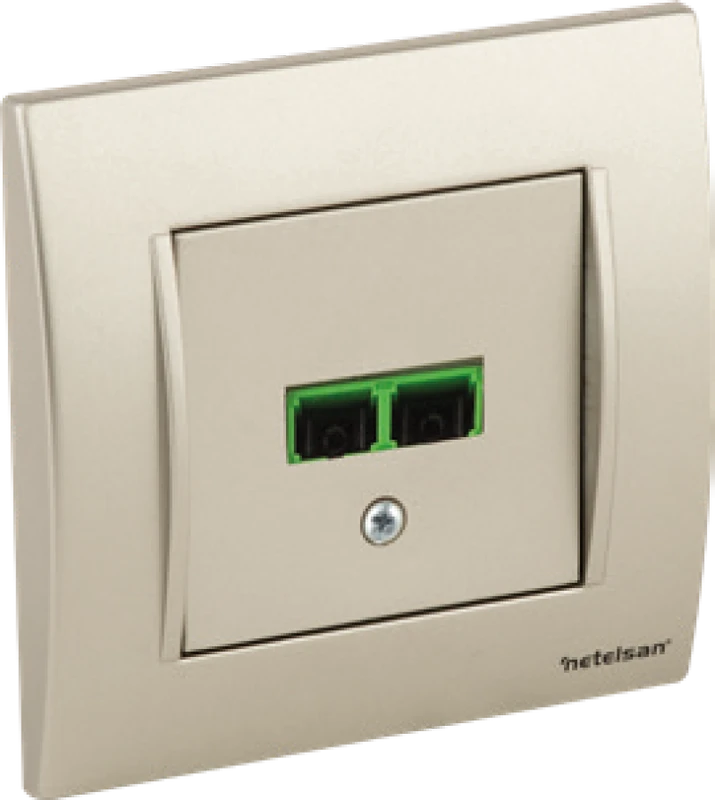 İkili Fiber Optik Data Prizi