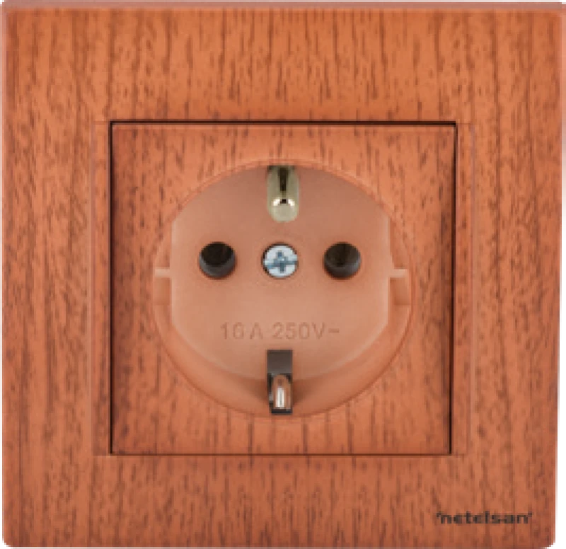 UPS Priz (Fransız Standardı)